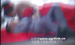 男女视频网站,内容丰富，互动热烈，带你领略网络娱乐新天地