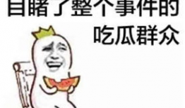 娱乐圈吃瓜群众心态崩溃,吃瓜群众心态崩溃，揭秘幕后真相