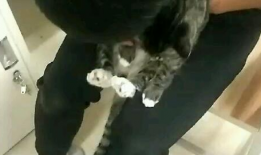 撸管的视频,揭秘网络诱惑背后的真相