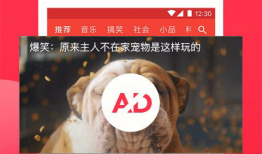 西瓜视频下载,轻松获取海量视频资源