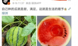 娱乐圈密集性吃瓜,瓜田李下，揭秘明星们的秘密花园