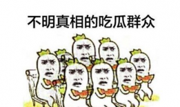 娱乐圈吃瓜群众心态崩溃,吃瓜群众心态崩溃，揭秘幕后真相