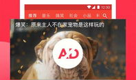 河美吃瓜爆料视频下载免费,揭秘热门视频背后的免费下载秘密